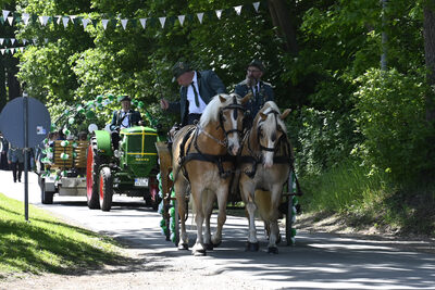 260524 Ha Langenberg Schützenfest 412